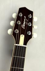 L.R.Baggs AEG-1 TOR #0891_4