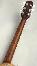 L.R.Baggs AEG-1 TOR #0891_10
