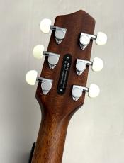 L.R.Baggs AEG-1 TOR #0891_11