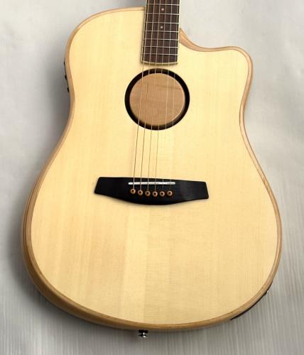L.R.Baggs AEG-1 NAT #0548