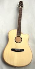 L.R.Baggs AEG-1 NAT #0548_2