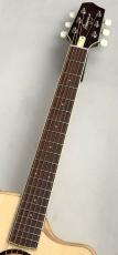 L.R.Baggs AEG-1 NAT #0548_3