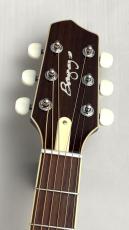 L.R.Baggs AEG-1 NAT #0548_4