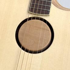 L.R.Baggs AEG-1 NAT #0548_5