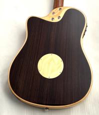 L.R.Baggs AEG-1 NAT #0548_8