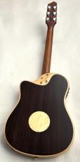 L.R.Baggs AEG-1 NAT #0548_9