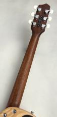 L.R.Baggs AEG-1 NAT #0548_10