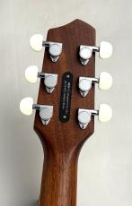 L.R.Baggs AEG-1 NAT #0548_11