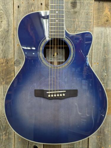 Morris R-14G SBU 【L.R.Baggs Element搭載】