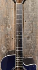 Morris R-14G SBU 【L.R.Baggs Element搭載】_6