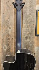 Morris R-14G SBU 【L.R.Baggs Element搭載】_8