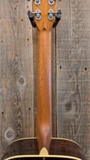 Morris FE-101 【モリダイラ楽器 特選モデル】_8