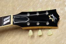 Archtop Tribute AT105_5