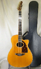 Terry's Terry TM-100 Cutaway Special Custom / Single Side Peg Head  【With Original Hard Case】 