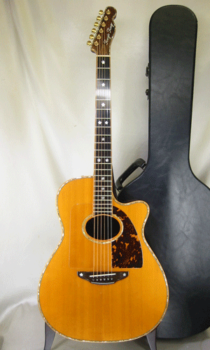 Terry's Terry TM-100 Cutaway Special Custom / Single Side