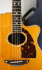 Terry's Terry TM-100 Cutaway Special Custom / Single Side Peg Head  【With Original Hard Case】 _2