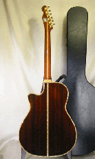 Terry's Terry TM-100 Cutaway Special Custom / Single Side Peg Head  【With Original Hard Case】 _4