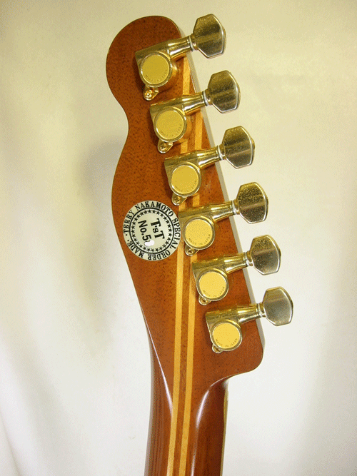 Terry's Terry TM-100 Cutaway Special Custom / Single Side