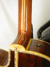 Terry's Terry TM-100 Cutaway Special Custom / Single Side Peg Head  【With Original Hard Case】 _6