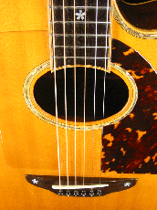 Terry's Terry TM-100 Cutaway Special Custom / Single Side Peg Head  【With Original Hard Case】 _7