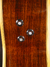 Terry's Terry TM-100 Cutaway Special Custom / Single Side Peg Head  【With Original Hard Case】 _8