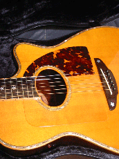 Terry's Terry TM-100 Cutaway Special Custom / Single Side Peg Head  【With Original Hard Case】 _9