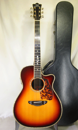 Terry's Terry TM-100 Cutaway Special Custom / Abalone Inlay・Tortise Pickguard・Original Pickup 【With Original Hard Case】 1999年製