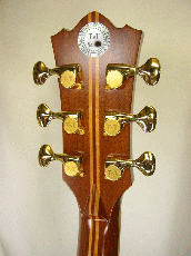 Terry's Terry TM-100 Cutaway Special Custom / Abalone Inlay・Tortise Pickguard・Original Pickup 【With Original Hard Case】 1999年製_5