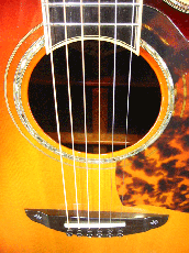 Terry's Terry TM-100 Cutaway Special Custom / Abalone Inlay・Tortise Pickguard・Original Pickup 【With Original Hard Case】 1999年製_7