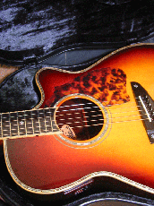 Terry's Terry TM-100 Cutaway Special Custom / Abalone Inlay・Tortise Pickguard・Original Pickup 【With Original Hard Case】 1999年製_8