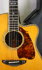 Terry's Terry TJ-100 Cutaway Special Custom /  Premium Spruce Top・Premium Honduras Rosewood・Tortise Pickguard 【With Original Case】 1998年製_2