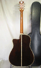 Terry's Terry TJ-100 Cutaway Special Custom /  Premium Spruce Top・Premium Honduras Rosewood・Tortise Pickguard 【With Original Case】 1998年製_4