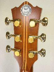 Terry's Terry TJ-100 Cutaway Special Custom /  Premium Spruce Top・Premium Honduras Rosewood・Tortise Pickguard 【With Original Case】 1998年製_5