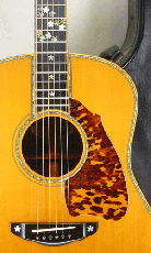 Terry's Terry TJ-100 Special Custom /　Abalone Trim Top and Side and Back / Solid Honduras Rosewood Side and Back 【With Original Hard Case】 2003年製_2