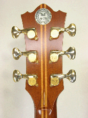 Terry's Terry TJ-100 Special Custom /　Abalone Trim Top and Side and Back / Solid Honduras Rosewood Side and Back 【With Original Hard Case】 2003年製_5