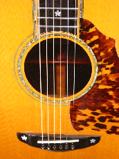 Terry's Terry TJ-100 Special Custom /　Abalone Trim Top and Side and Back / Solid Honduras Rosewood Side and Back 【With Original Hard Case】 2003年製_7