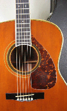 YAMAHA L-31A / Tortoise Pickguard・Solid Ezo Spruce Top・Solid Jacaranda Side and Back【With Yamaha Hard Case】1979年製_2