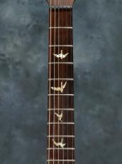 Paul Reed Smith [PRS] Santana Brazilian Limited 10Top Santana Yellow_4