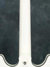 Aria Pro II TA-JAIL STRIPE BURST_13