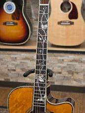 Takamine DMP200 Custom -Bear Claw Spruce-【オーダー受付中】【当店オリジナルカスタム】_3
