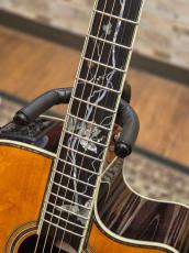 Takamine DMP200 Custom -Bear Claw Spruce-【オーダー受付中】【当店オリジナルカスタム】_5