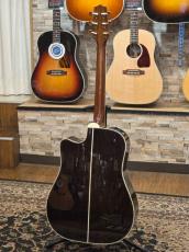 Takamine DMP200 Custom -Bear Claw Spruce-【オーダー受付中】【当店オリジナルカスタム】_6