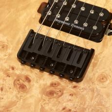 Charvel Pro-Mod DK24 HH HT E Mahogany with Poplar Burl, Desert Sand_7
