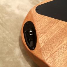 Charvel Pro-Mod DK24 HH HT E Mahogany with Poplar Burl, Desert Sand_9