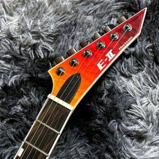 E-II HORIZON NT-II Tiger Eye Amber Fade【アウトレット特価】【受注生産モデル】【日本製】_7