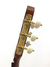 ASTURIAS TSUJI SUPREMA_9