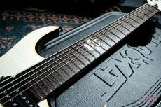 BLACKAT Guitars DC8 #16016 Translucent White / 2016_5