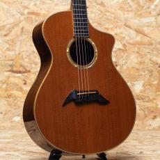 Breedlove C25/W 1998