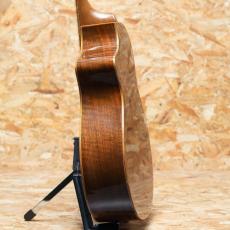 Breedlove C25/W 1998_5