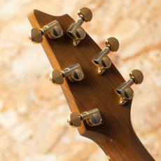 Breedlove C25/W 1998_9